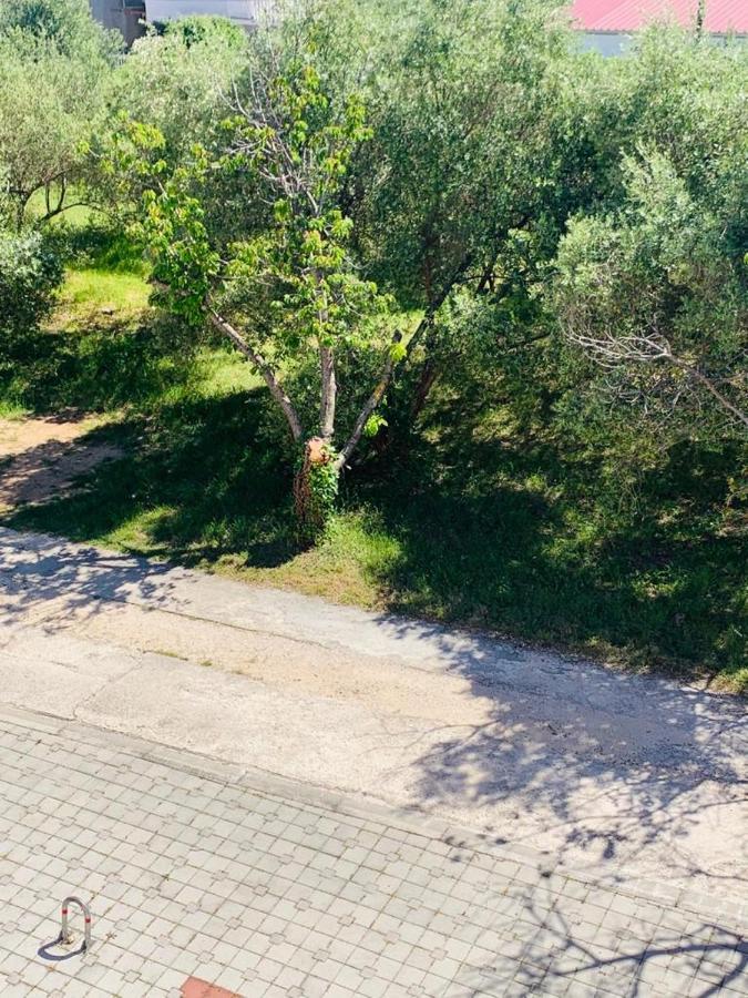 Apartments Nika Sukošan Zewnętrze zdjęcie